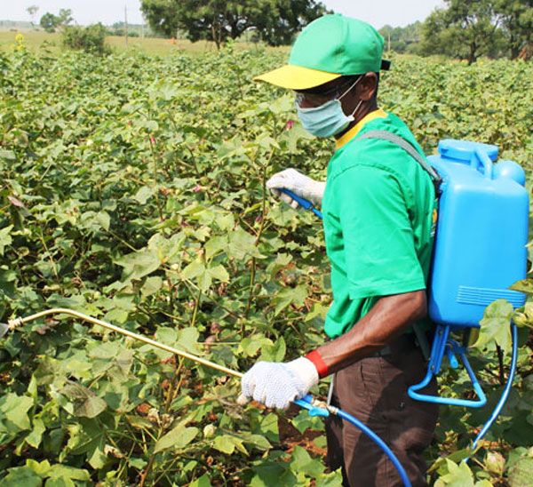 Vermicompost Manufacturers in Tamilnadu